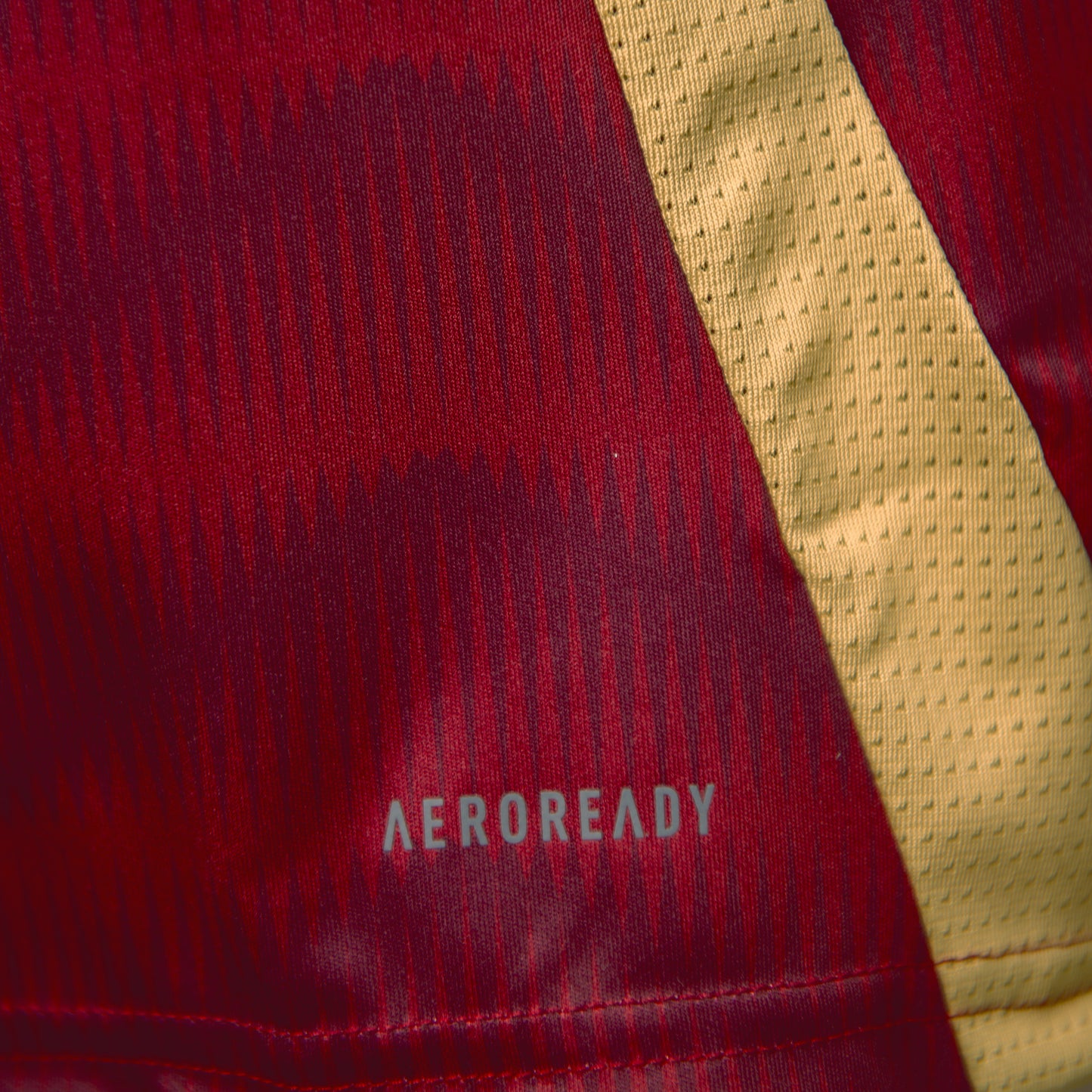 Al Wahda FC Adult Jersey Home Adidas 2024-2025