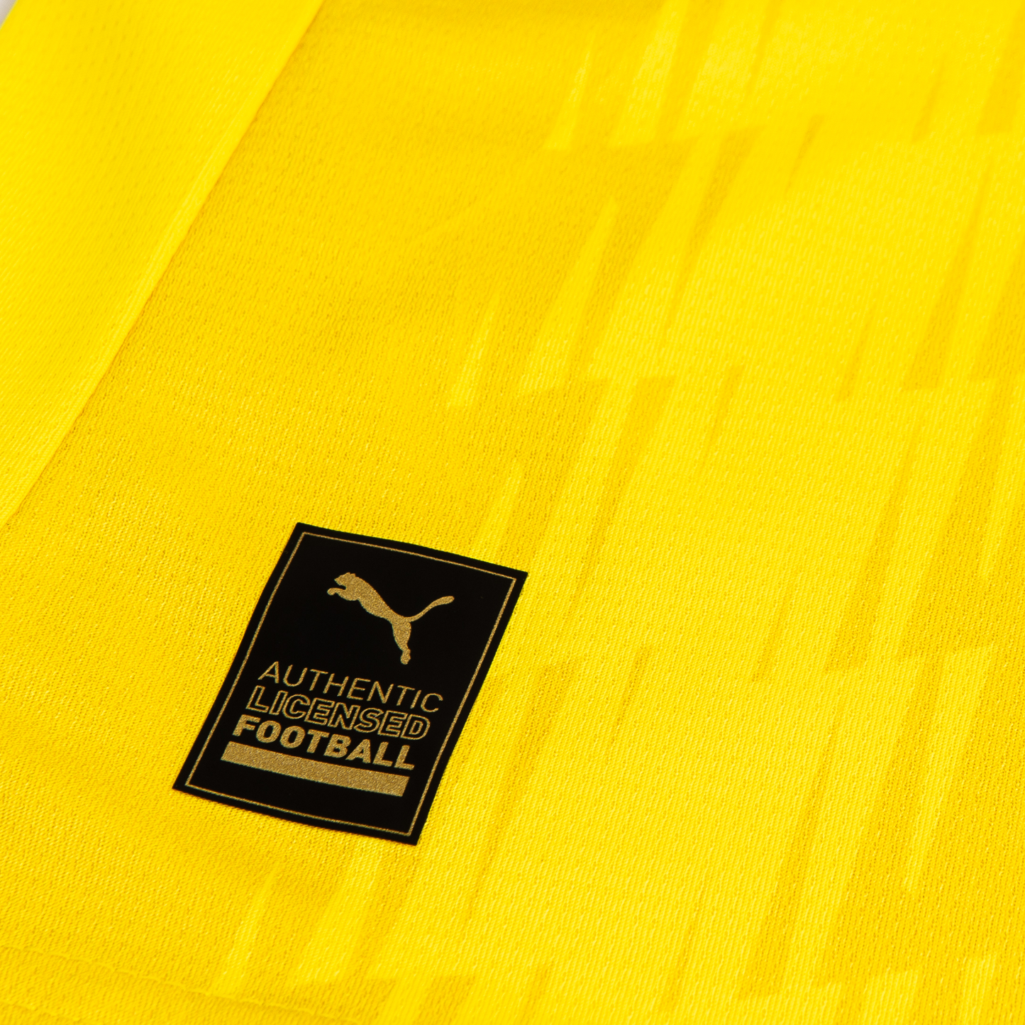 Al Wasl FC | Puma | Jersey Home Adult 2025-2026