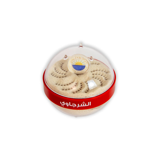 Sharjah FC Sand Globe